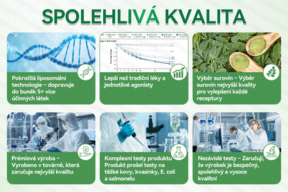 🇨🇿 Oficiální obchod|💚𝑮𝑳𝑶𝑹𝑬𝐍𝐃𝗔® Moringa·Berberin×NAD+10-v-1 Pokročilá Nano Mikronáplňová Náplast (pouze jednou denně, viditelné změny během 7 dní) ✅ Pro osoby s obezitou, povolenou kůží, cukrovkou, spánkovou apnoe, problémy se klouby a dalšími obtížemi.