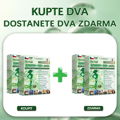 🔆Oficiální obchod|𝑮𝑳𝑶𝑹𝑬𝐍𝐃𝗔® Moringa·Berberin×NAD+10-v-1 Pokročilá Nano Mikronáplňová Náplast (pouze jednou denně, viditelné změny během 7 dní) ✅ Pro osoby s obezitou, povolenou kůží, cukrovkou, spánkovou apnoe, problémy se klouby a dalšími obtížemi.