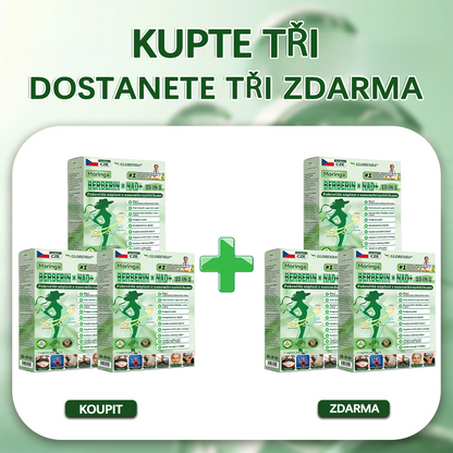 🔆Oficiální obchod|𝑮𝑳𝑶𝑹𝑬𝐍𝐃𝗔® Moringa·Berberin×NAD+10-v-1 Pokročilá Nano Mikronáplňová Náplast (pouze jednou denně, viditelné změny během 7 dní) ✅ Pro osoby s obezitou, povolenou kůží, cukrovkou, spánkovou apnoe, problémy se klouby a dalšími obtížemi.